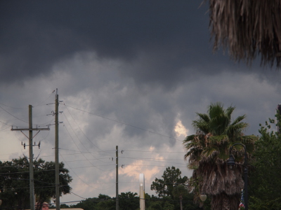 [Above the palms and utility poles are four graduated colors of clouds ranging from near white to dark grey.]